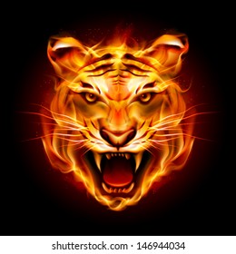 Head of a tiger in tongues of flame. Illustration on black