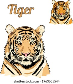 Head of tiger.  Two nature tones.