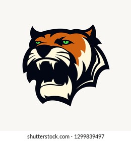 head tiger vector illustration