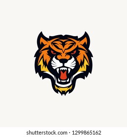 head tiger vector illustration