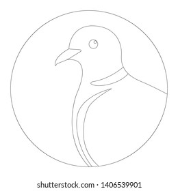 head turtledove, vector illustration, lining draw ,profile view