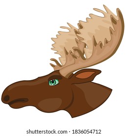 Head ungulate animal moose type in profile