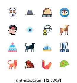 head vector icon set