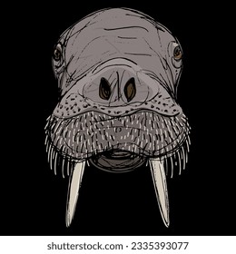 Head of a walrus. Odobenus rosmarus. Animal mask. Hand drawn colorful rough sketch. On black background.