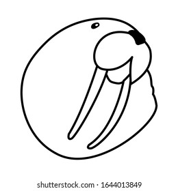 head of walrus on a white background vector illustration design