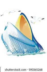 head whale