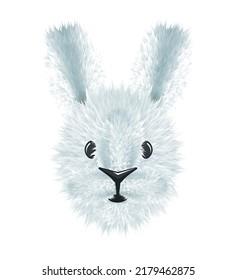 The head of a white rabbit isolated on a white background