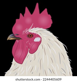 Head of a white rooster with red crest. Animal design. On black background.