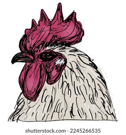 Cabeza de gallo blanco con cresta roja. Diseño animal. Dibujo a mano en boceto. Ilustración vectorial aislada.