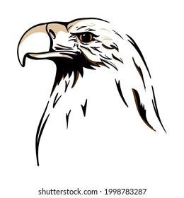 Head of White Tailed Eagle Hand Drawn minimalist vector illustration on a white. Eagle's vector portrait.