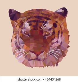 The head of a wild animal on a light background.