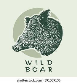 Head Of Wild Boar. Vector illustration in engraving style.