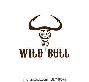head of wild bull