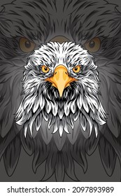 Head wild eagle vector illustration