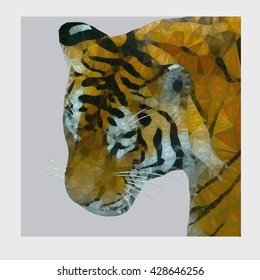 The head of wild predatory animal (tiger) on a gray background with a frame. The tiger is executed in decorative equipment and can be applied in modern design. 