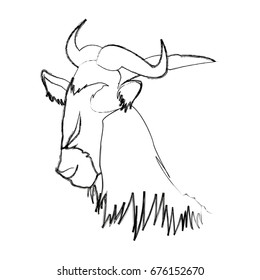 head wildebeest african wildlife animal