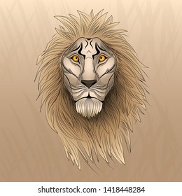  The head of a wise lion. Vector illustration