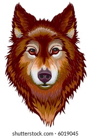 head of a wolf or big dog, brown, natural, isolated object on a white background, vector illustration