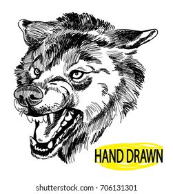 The head of a wolf. Drawing by hand in vintage style. The wolf rocks. Predator, attack, danger.