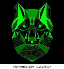 
Head of the wolf. Green contour on black background