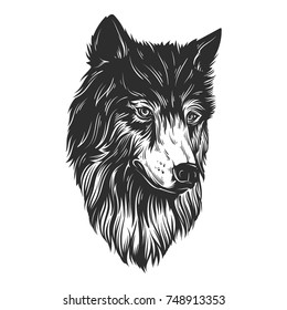 Head wolf hand draw vector illustration