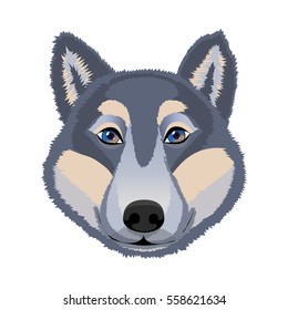 The head of a wolf. Logo, emblem, mascot. Vector illustration.