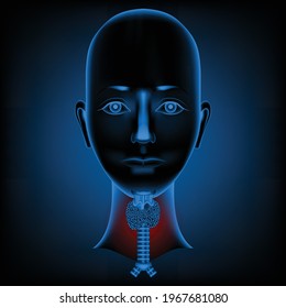 Head of a woman with a neck. Location of the thyroid gland and larynx. X-ray. Vector illustration.