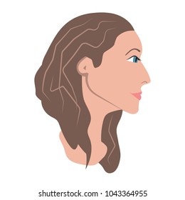 Head of a woman in side view, with long brown hair, isolated vector illustration