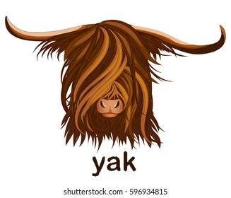 The head of a Yak. Logo, emblem, mascot. Vector illustration.