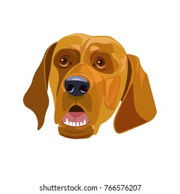 Head of a yellow dog. Vector template New Year's design on the Chinese calendar. Vector illustration