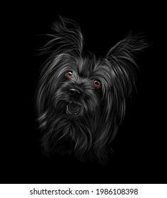 Head of Yorkshire Terrier on black background. Vector illustration of paints