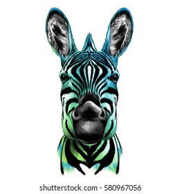 head of Zebra, vector color drawing, black, blue, and green