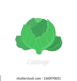 Headed cabbage. Cabbage plants. Harvest green growth. Brassica oleracea. Agriculture cultivated plant. Green leaves. Flat vector color Illustration clipart.