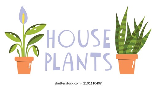 Header lettening banner for social media for plant lovers, greenhouses and urban jungle. Vector illustration of plants on a white isolated background.