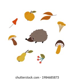 Headgehog and set of autumn leaves, mushrooms and fruits. Vector illustration. Template for postcard and freeting cards.