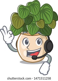With headphone peperomia with in the cartoon shape
