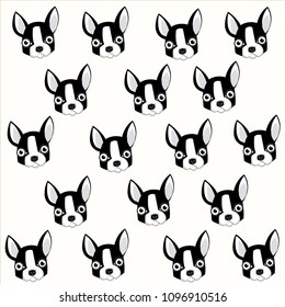 Lot of heads dog