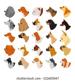 Heads dogs breed isolated on white background, chihuahua and poodle, vector illustration