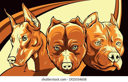 Heads of dogs pitbull dobermann bulldog vector