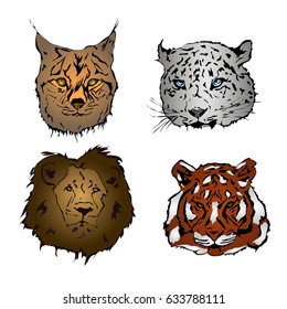 Heads of lion, tiger, snow leopard and lynx. Vector illustration.