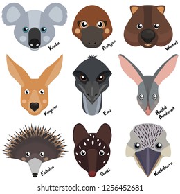 heads and muzzles of wild australian animals, wombat, echidna, kangaroo, koala, rabbit bandicoot, ostrich emu, quoll, platypus. Cartoon collection of vector clipart on white background