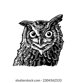 Heads owl. Hand drawn in a graphic style. Vintage monochrome vector engraving illustration for poster, web. Isolated on white background