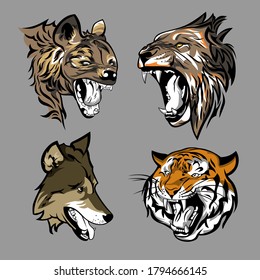 Heads of predator animals.vector illustration