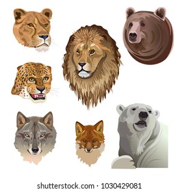 Heads of predatory animals. Vector illustration isolated on white background