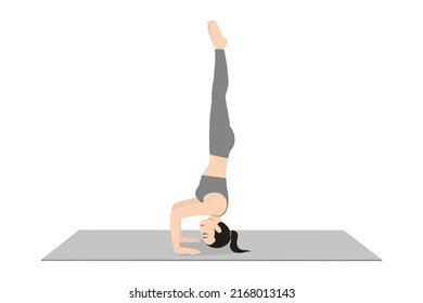 Headstand Pose Ii. Beautiful girl practice Sirsasana Ii. Young attractive woman practicing yoga exercise. working out, black wearing sportswear, grey pants and top, indoor full length, calmness relax