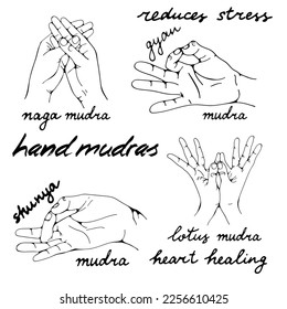 Healing hand mudras collection in vector