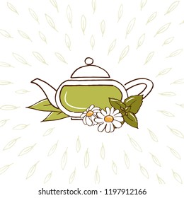 Healing herbal tea with chamomile and mint or green tea illustration on banner or card. Tea with herbs in hand-drawn style on white background. Vector flat design graphic illustration.