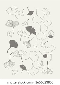 Healing leaves of ginkgo biloba tree with fruits, hand-drawn, geometric seamless pattern, isolated vector. Emblem ingredient for hair and body care, cream, lotion, treatment, hydration. Japanese tree.