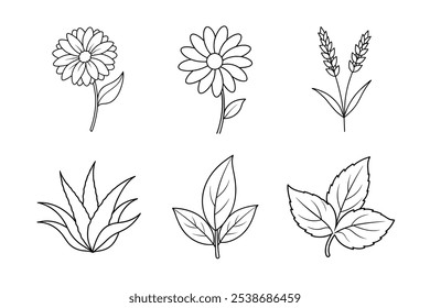 Plantas de Cura Line Art Bundle - Aloe Vera, Lavanda, Menta, Camomila, Calêndula e Sage