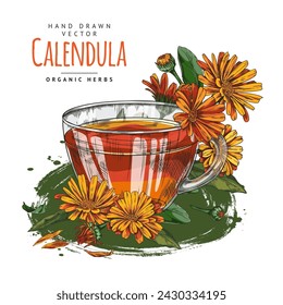Die heilenden Eigenschaften des Calendula-Tees werden in einer Vektorvorlage dargestellt. Medizinstundenbecher mit handgezeichneten Calendula-Blüten. Geeignet für Verpackungsdesign, Etikett oder Vorlage.